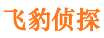 赤城寻人公司